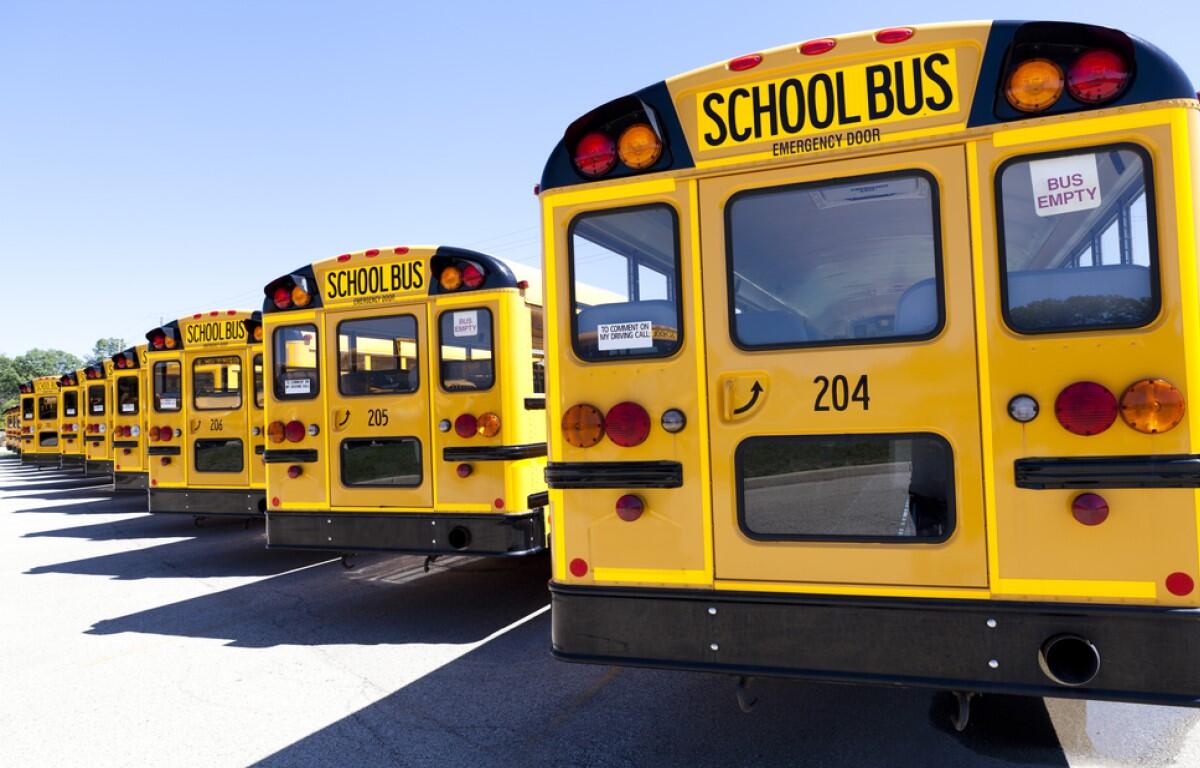 School buses
