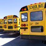 School buses