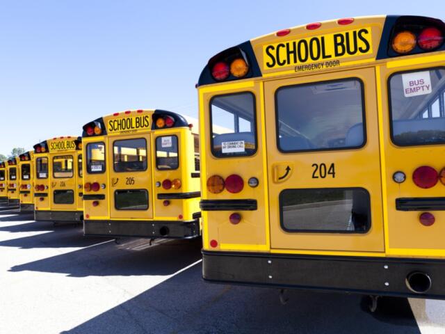 School buses