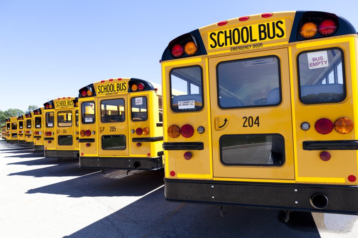 School buses