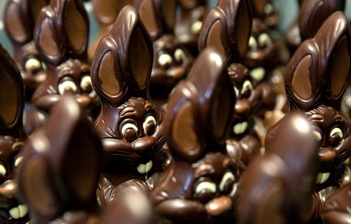 Chocolate rabbits wait to be decorated at the Cocoatree chocolate shop, April 8, 2020, in Lonzee, Belgium. Sweet Easter baskets will likely come at a bitter cost this year for consumers as the price of cocoa climbs to record highs. (AP Photo/Virginia Mayo, File)