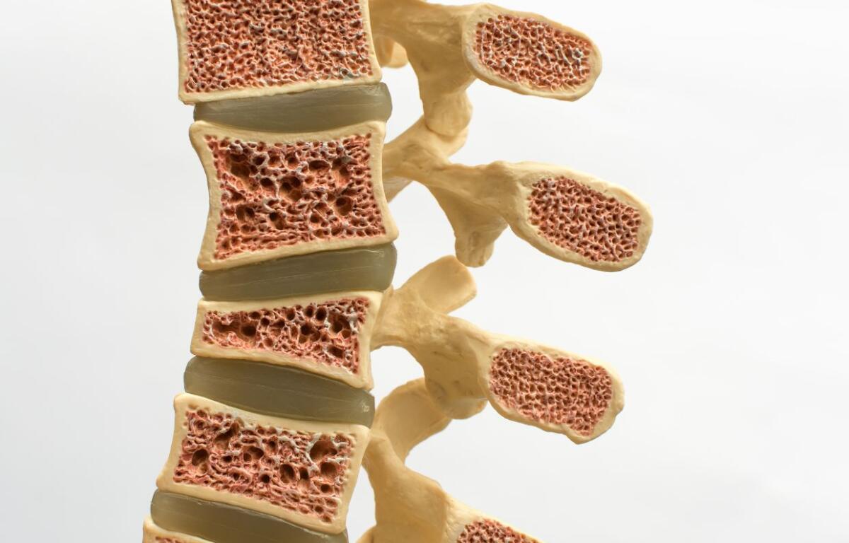 Chiropractic care