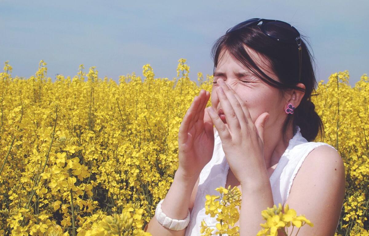 Woman sneezing in field