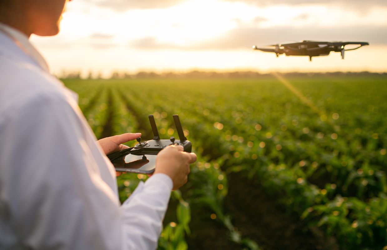 Farmer uses drone to assess crops
