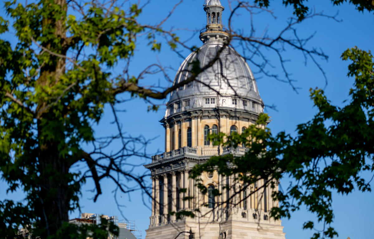 Capitol dome through trees