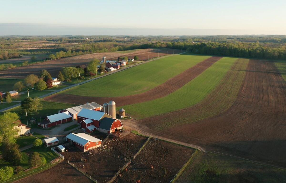 Farm - aerial view
