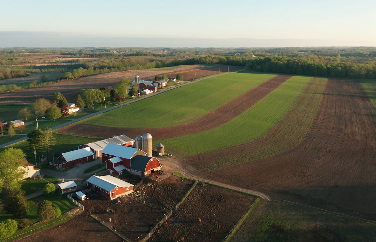Farm - aerial view