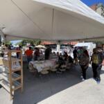 2024 Old State Capitol Art Fair