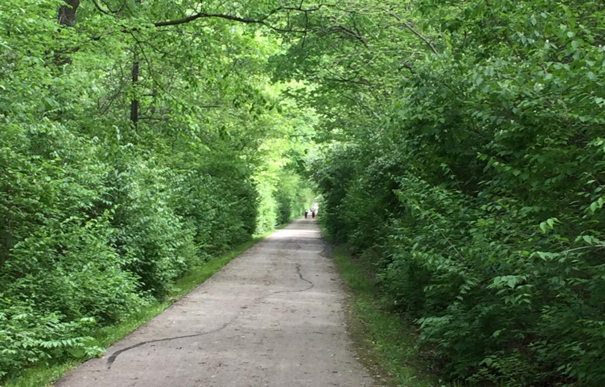 Lost Bridge Trail