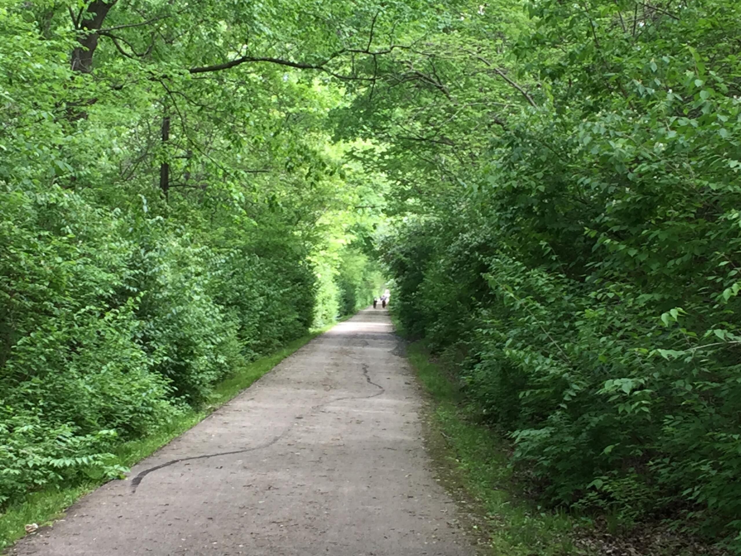 Lost Bridge Trail