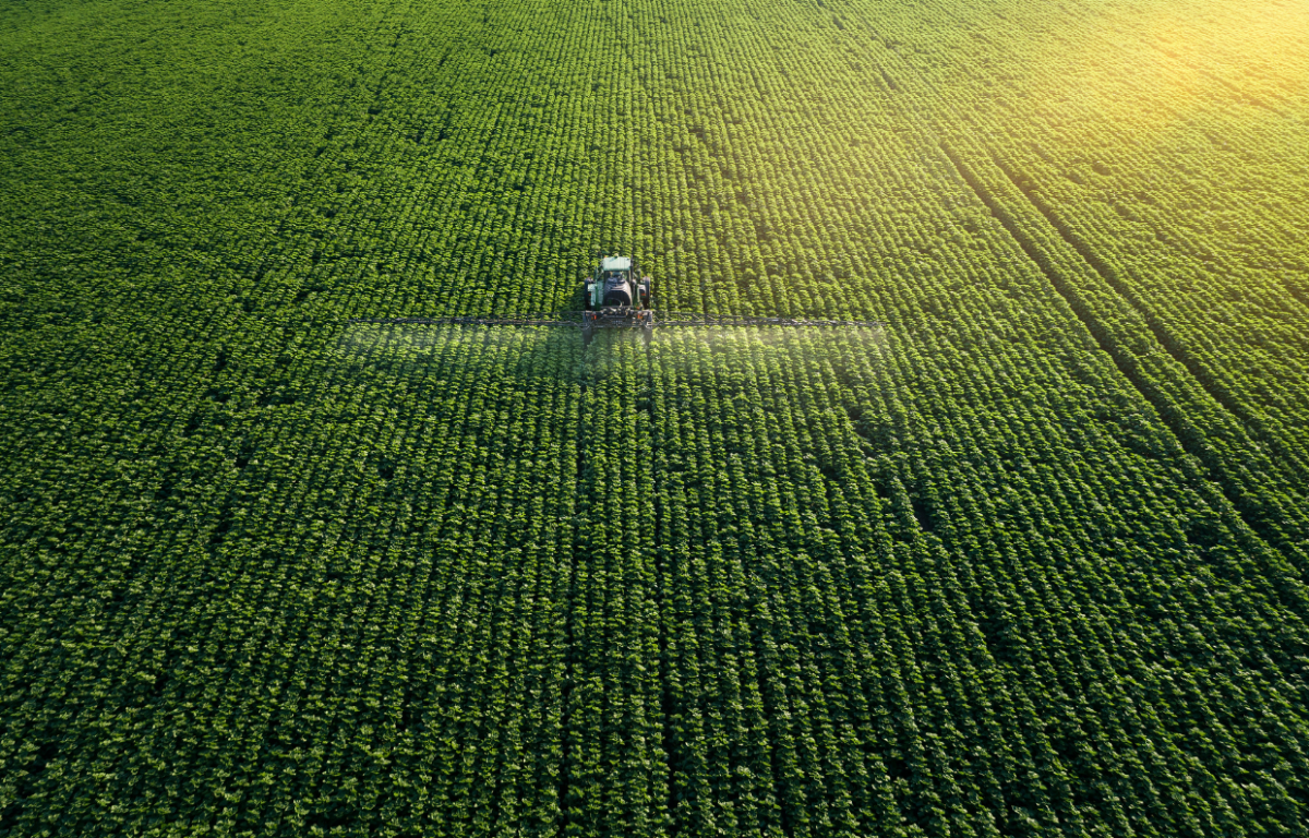 Farmer fertilizing field