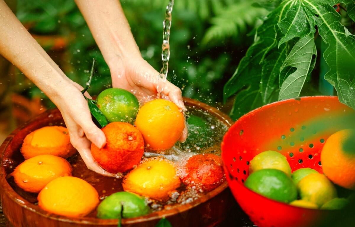 Fresh food
