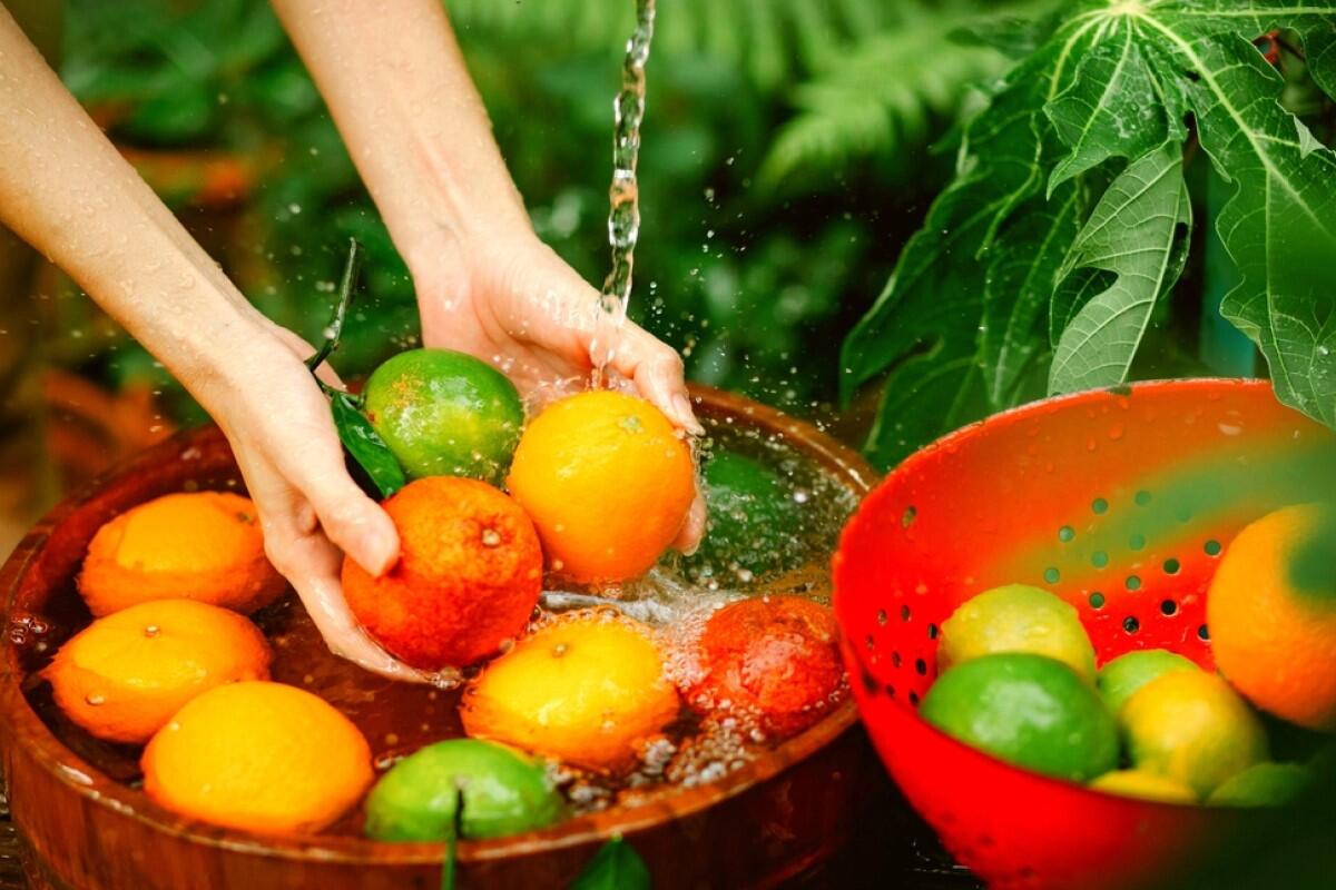 Fresh food