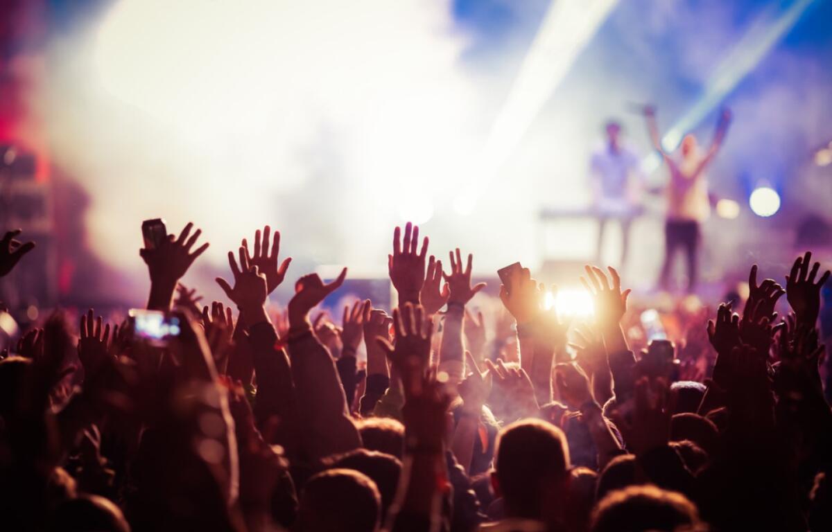 Crowd at concert