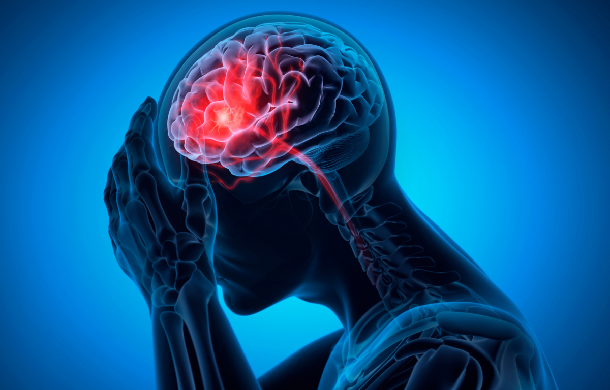 Brain