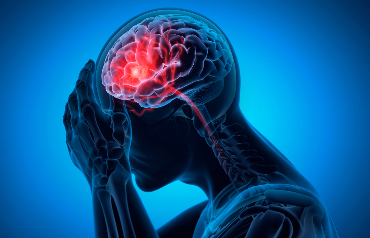 Brain
