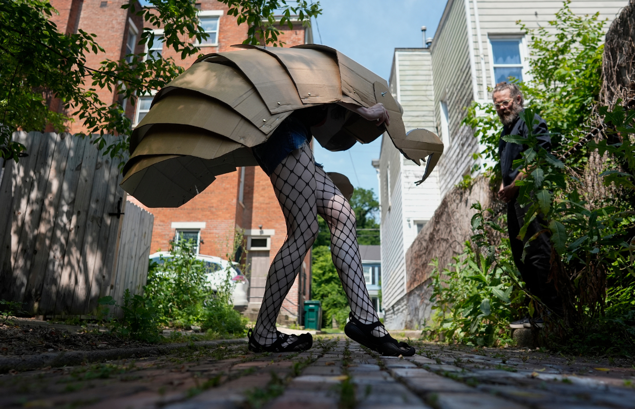 Cicada striptease