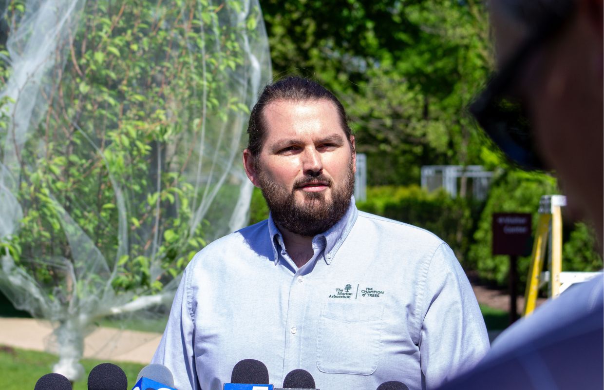 Spencer Campbell, plant clinic manager at the Morton Arboretum, answers questions about cicadas in front of a netted tree. Campbell emphasized it is important to choose proper material when netting trees vulnerable to cicadas.