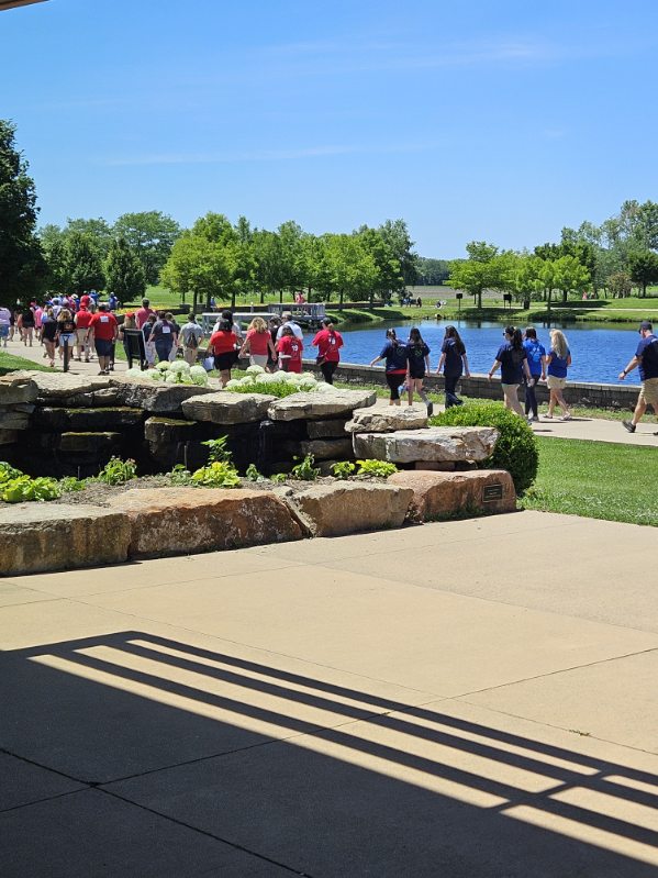 AHA Heart Walk