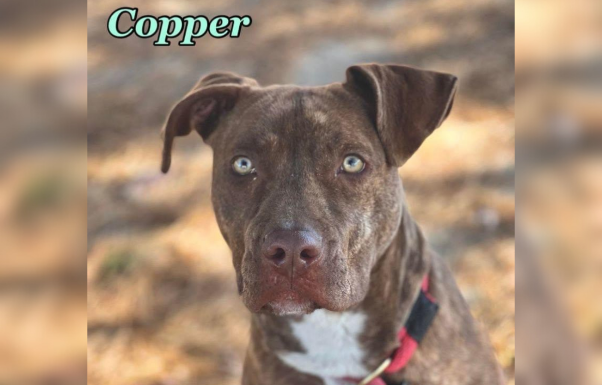 Copper