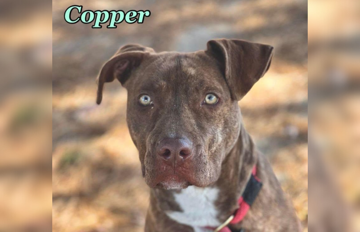 Copper