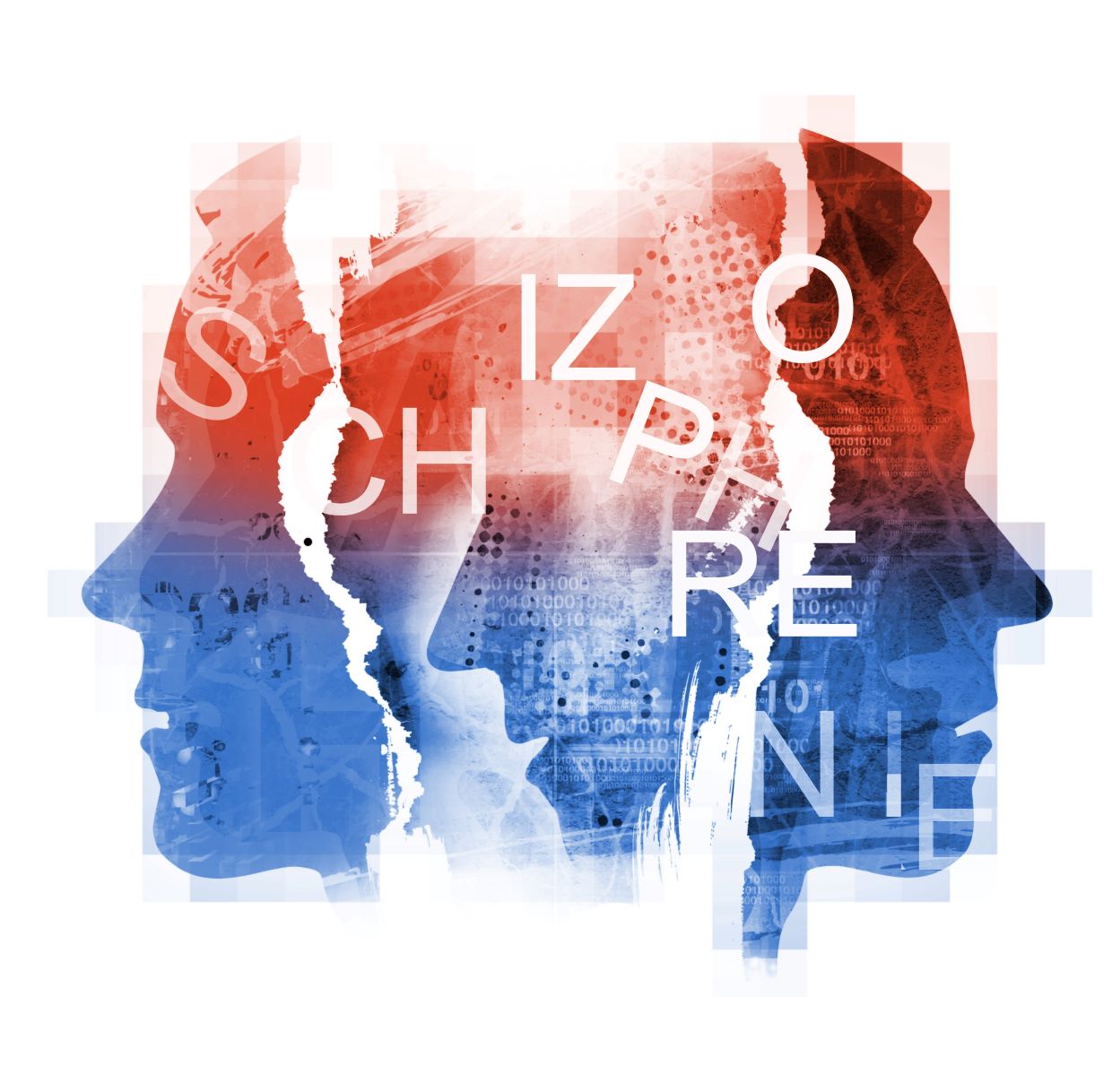 Schizophrenia