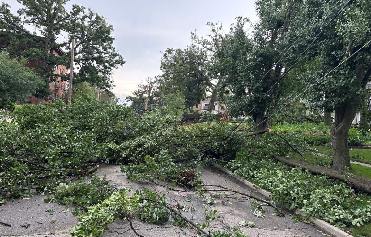 Storm damage