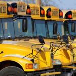 School buses