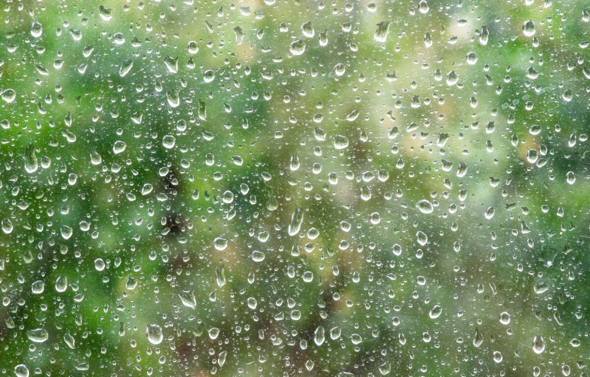 Rain on window