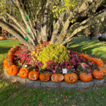 Jack-o-Lantern Spectacular