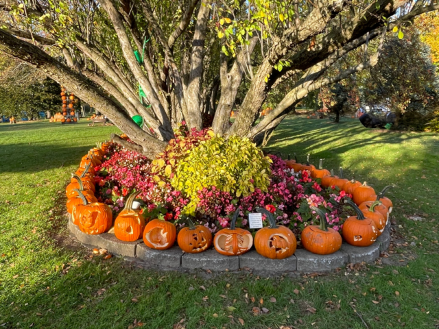 Jack-o-Lantern Spectacular