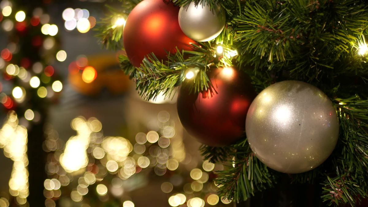 Outdoor Christmas tree close up