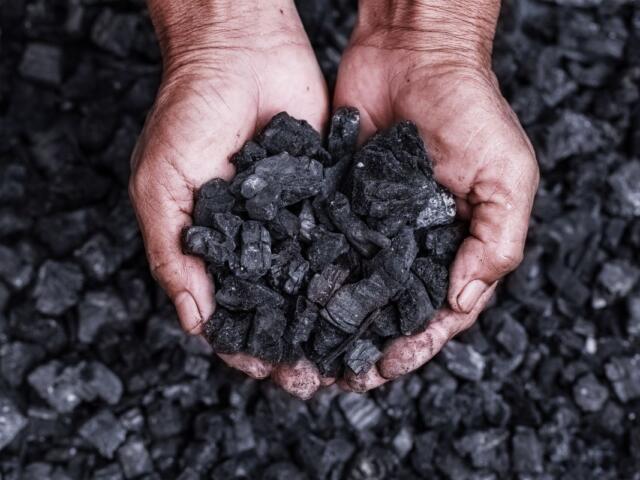 Coal miner with coal in hands