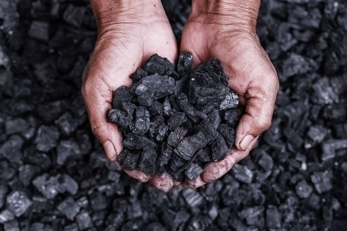 Coal miner with coal in hands