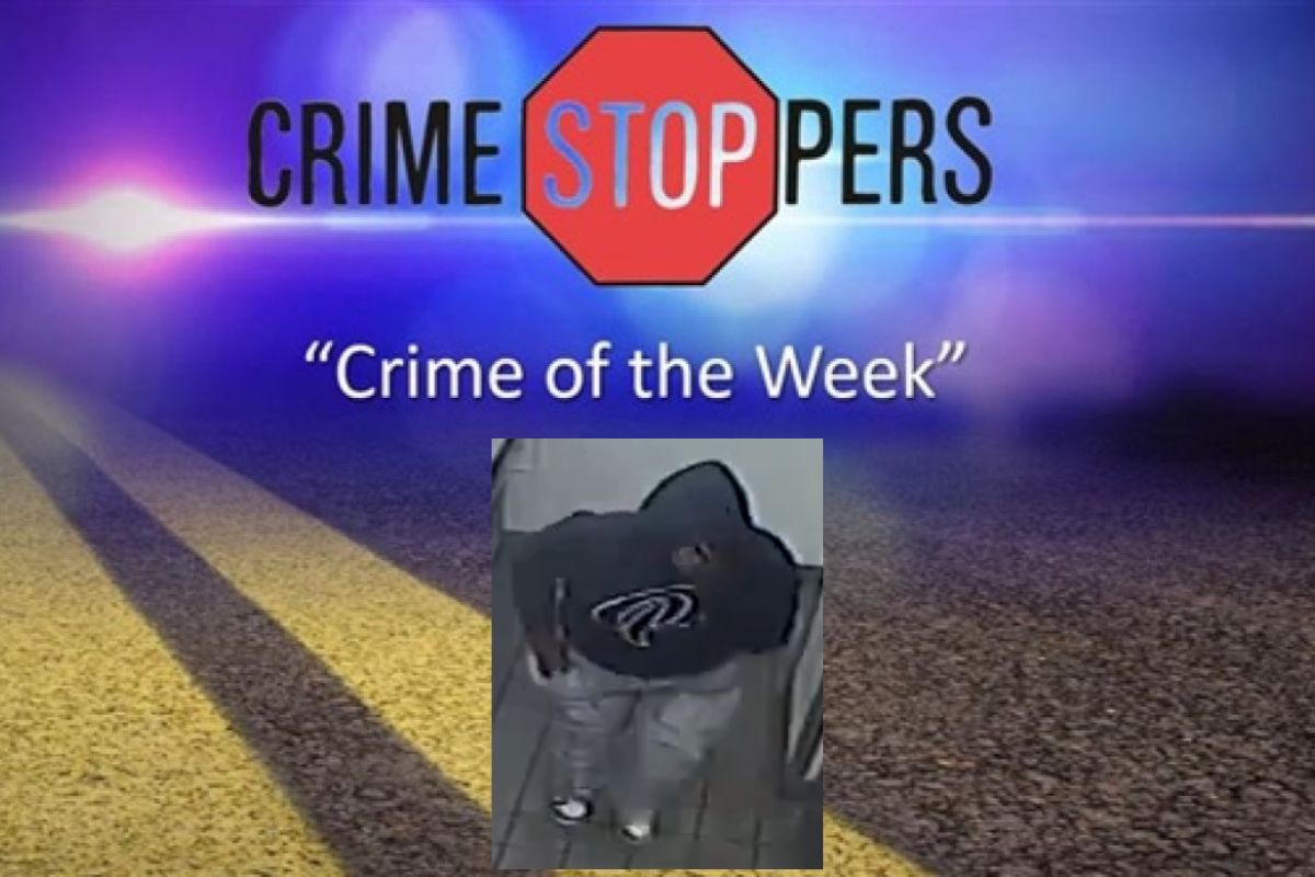 Crime Stoppers Burger King robbery suspect