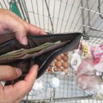 Grocery shopping with a wallet