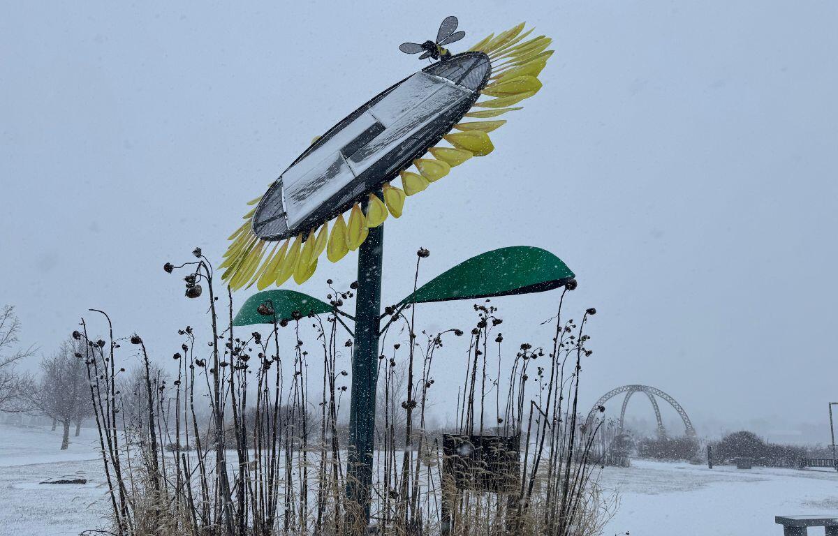 Sunflower at Southwind Park with light snow cover