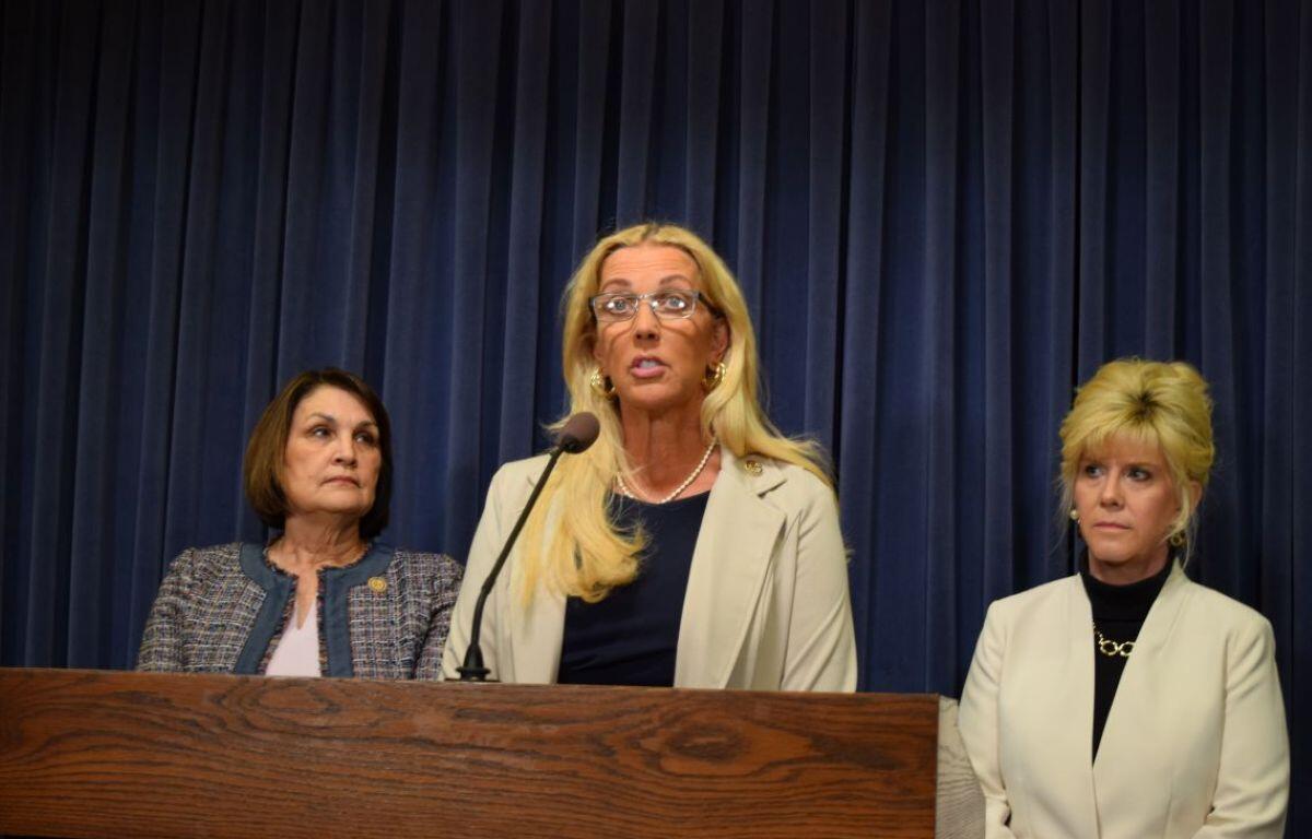 Sen. Sue Rezin, R-Morris, talks about her fentanyl-related legislation at a news conference in the Capitol on Thursday. (Capitol News Illinois photo by Jade Aubrey)