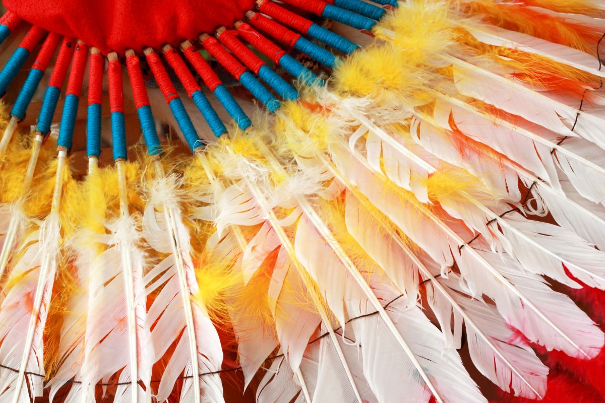 Native American feathers