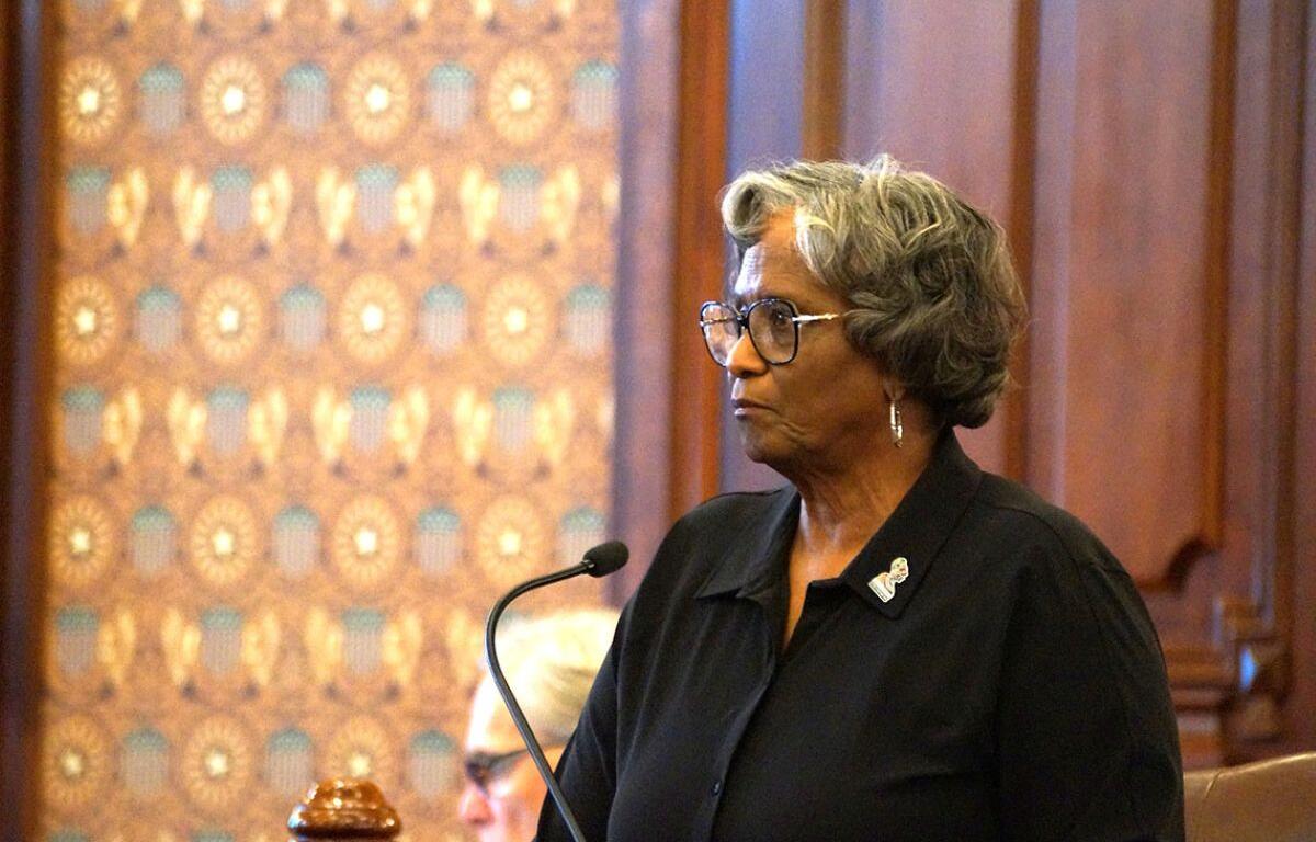 Visuals: Sen. Doris Turner, D-Springfield, speaks on the Senate floor on Thursday, April 10, 2025. (Capitol News Illinois photo by Peter Hancock)