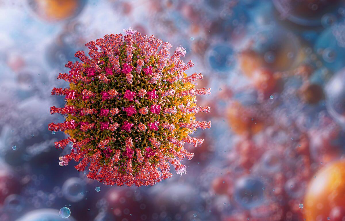Measles virus illustration
