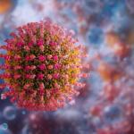 Measles virus illustration