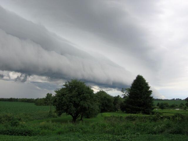 Shelf cloud over Northwest Illinois. (Photo by Janice Thompson, NOAA National Weather Service (NWS) Collection, CC BY 2.0)