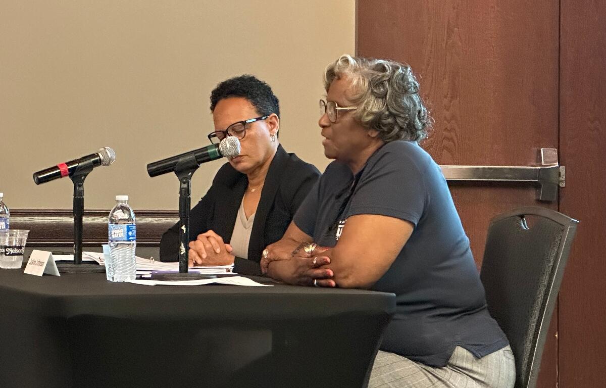 State Sen. Doris Turner, D-Springfield, speaks at a meeting of the Massey Commission.