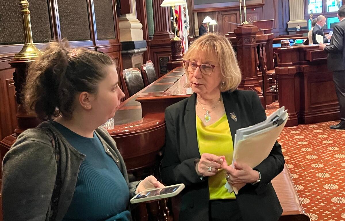 State Rep. Robyn Gabel