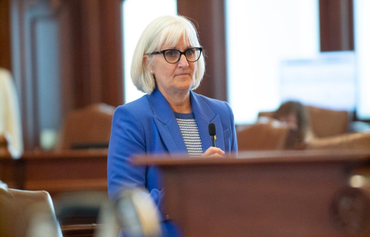 State Sen. Mary Edly-Allen is pictured on the Senate floor on Wednesday, May 21, 2025. (Capitol News Illinois photo by Jerry Nowicki)