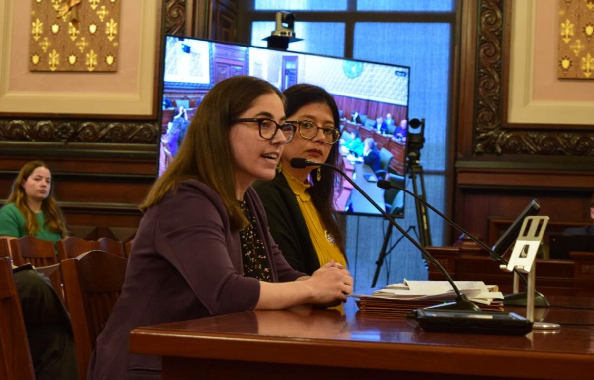 Emily Coffey, senior counsel of the Chicago Lawyers' Committee for Civil Rights, speaks beside Sen. Karina Villa, D-Chicago, during a Senate Executive Committee in the Statehouse on Wednesday.