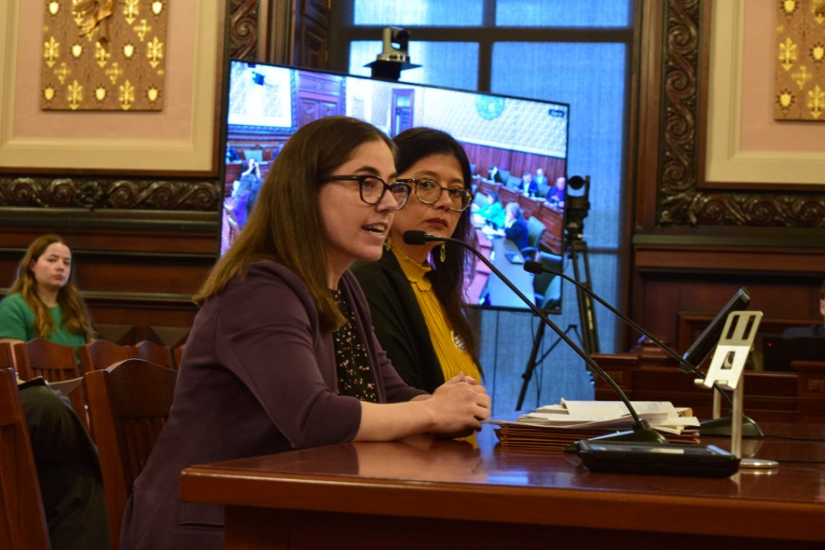 Emily Coffey, senior counsel of the Chicago Lawyers' Committee for Civil Rights, speaks beside Sen. Karina Villa, D-Chicago, during a Senate Executive Committee in the Statehouse on Wednesday.