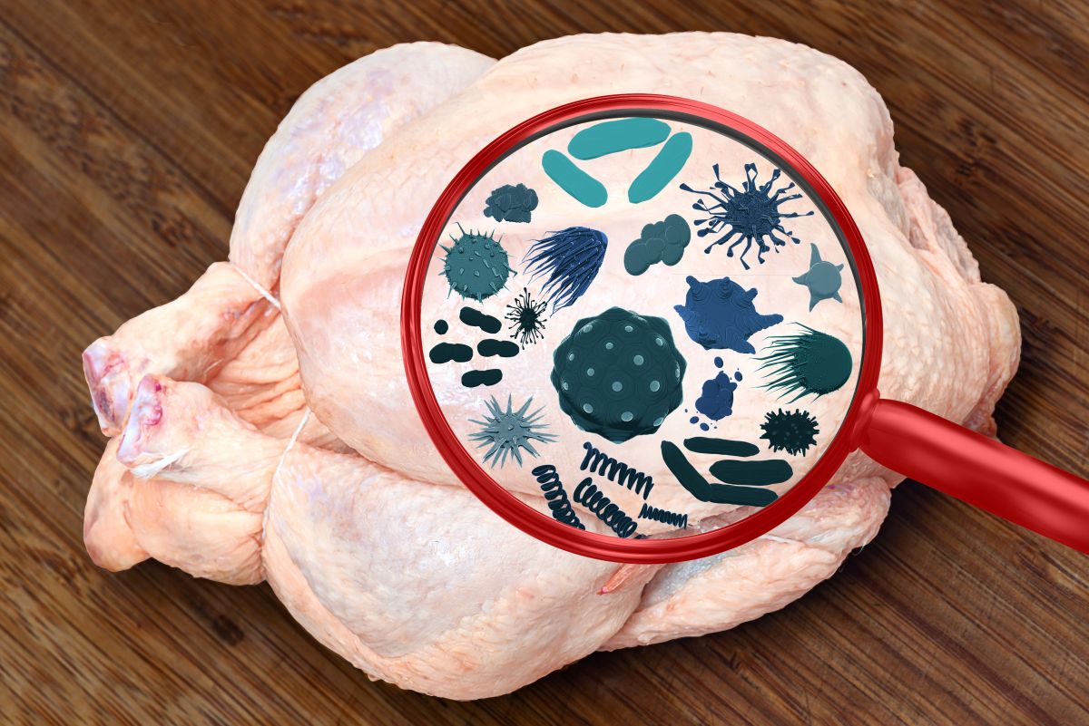 Raw poultry with magnifying glass with contaminant icons
