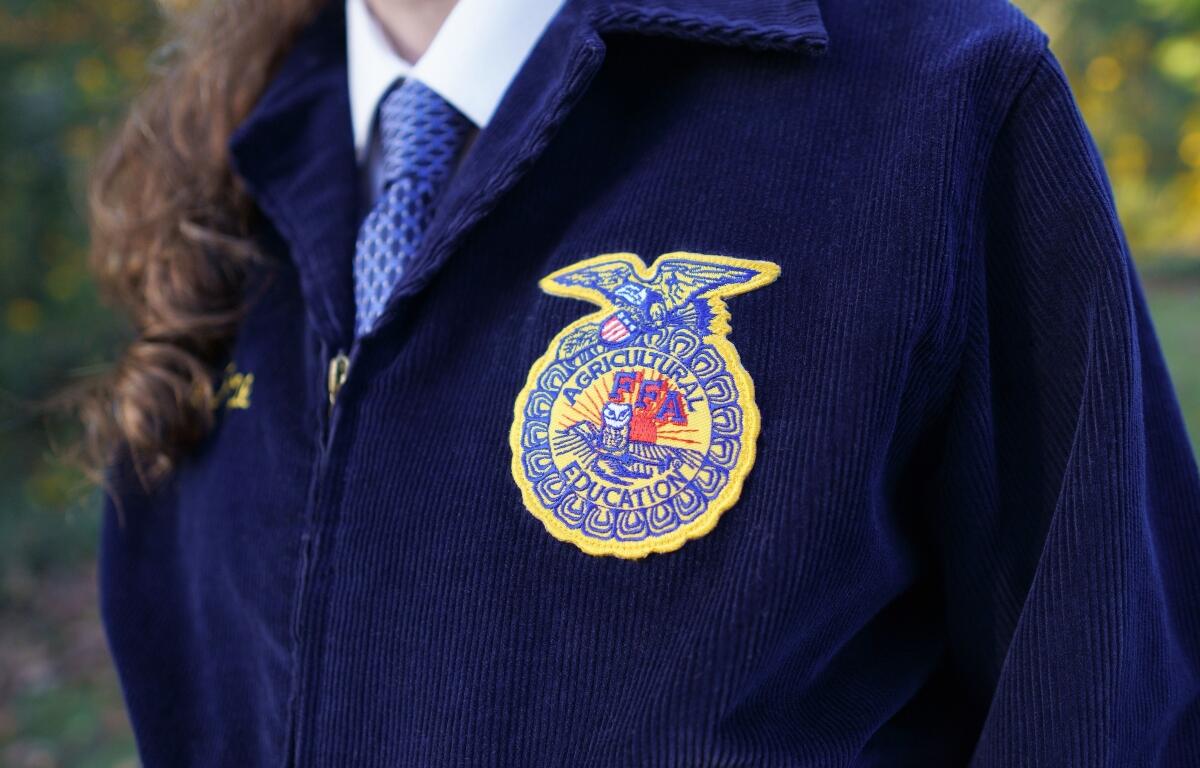 FFA shutterstock